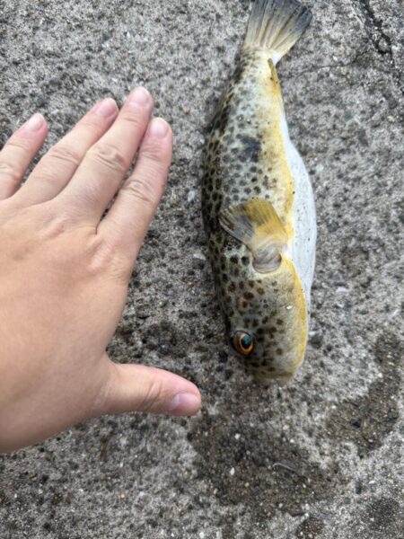 娘とちょい投げ釣り!