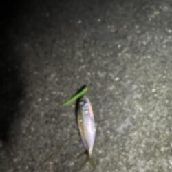 ボトムアジング