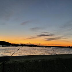 ヒラスズキヒット！