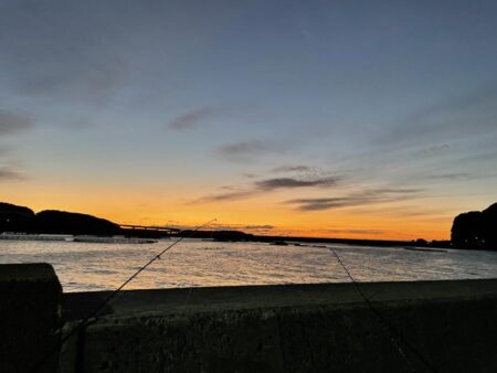 ヒラスズキヒット！