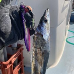 タチウオ 毎流しでヒット&キャッチ