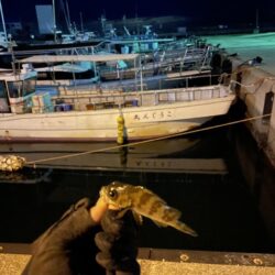 ひさびさ垂水漁港