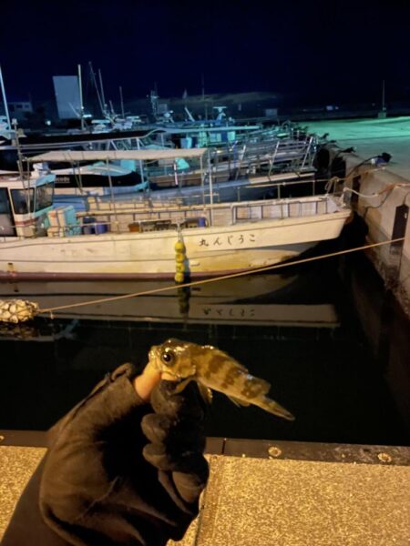 ひさびさ垂水漁港