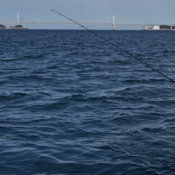 デイ太刀からの青物ジギング
