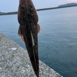 初ポイントにて