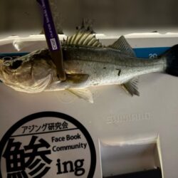 年末大感謝祭に潜入