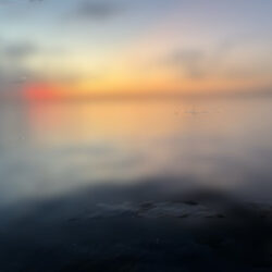 やっぱりこのサイズ楽しい