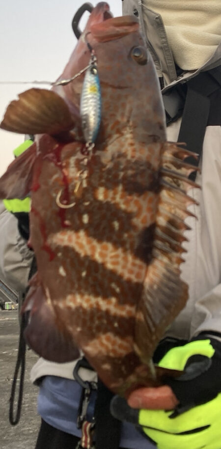 高級鍋食材逃がさないぞ！