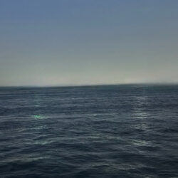 微妙なアタリが多くなってきた