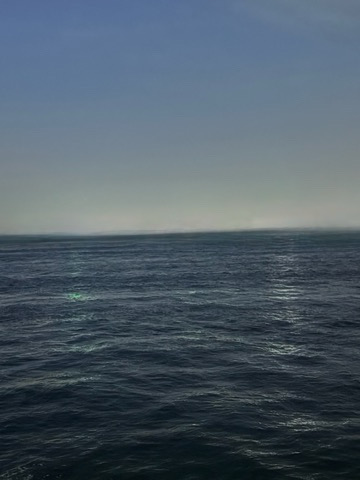 微妙なアタリが多くなってきた