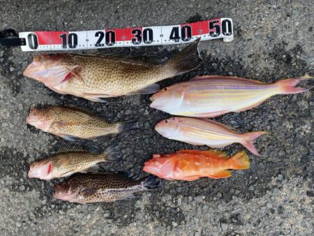 カヤックフィッシング