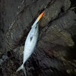 ショアプラッキング