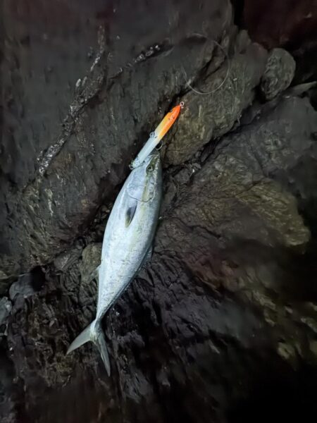 ショアプラッキング