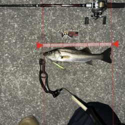 寒くても激渋でも釣れる魚が小さくても頑張るのみ！