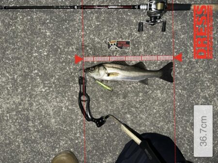 寒くても激渋でも釣れる魚が小さくても頑張るのみ！