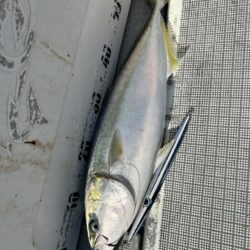 完全タチパターン!