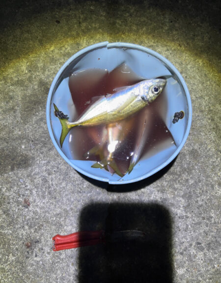 フロートアジング　