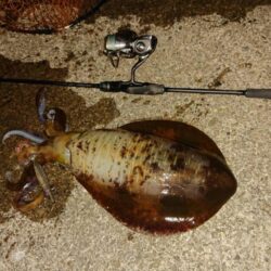 気持ちのいい一杯