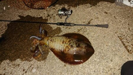 気持ちのいい一杯