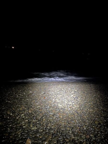 フロートアジング