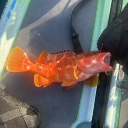 supフィッシング SLJ