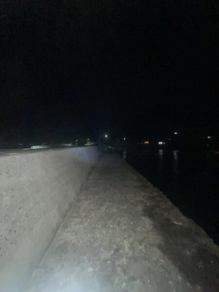 コウイカシーズン到来?