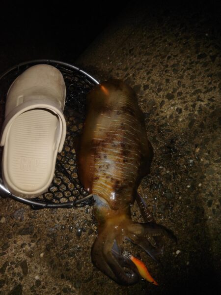 Teamゲッソー調査隊