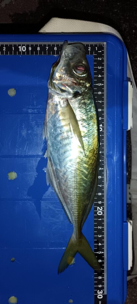 全然ダメでした