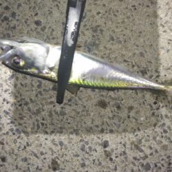 こんなの初めて…