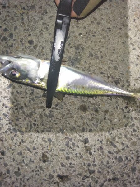 こんなの初めて…