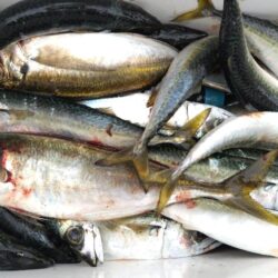 もう少し大きければ