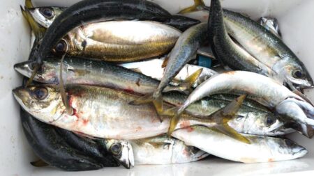 もう少し大きければ