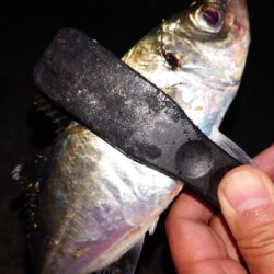 電気ウキ釣り 18