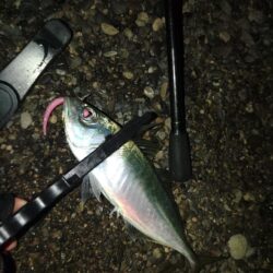 (尺アジ)フロートゲ~ム