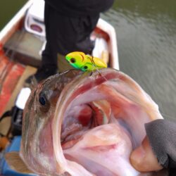津久井湖初ボート