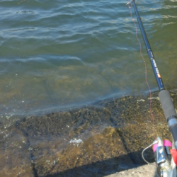 暖かい午後の昼間に