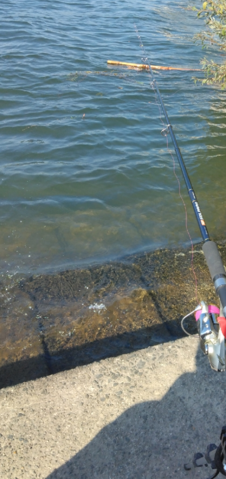 暖かい午後の昼間に