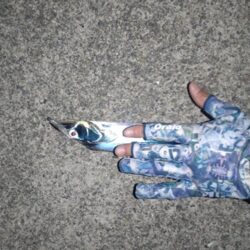 ライトゲームのはずが…