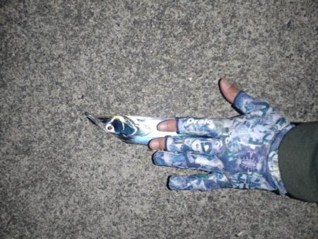 ライトゲームのはずが…