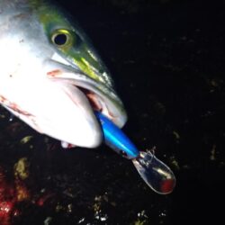 クリスマスプレゼント