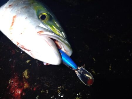 クリスマスプレゼント