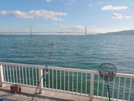 久しぶりのカゴ釣り