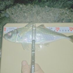 2025年フロートアジング納め