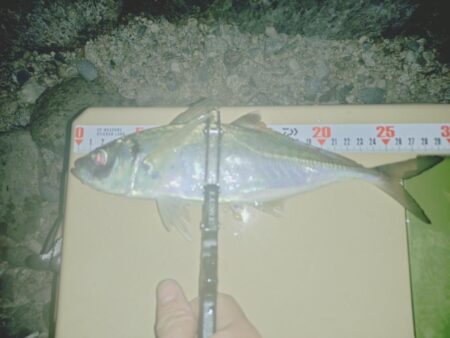 2025年フロートアジング納め