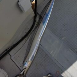 瀬戸内海船タチウオ(初)