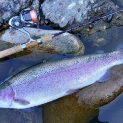 日曜の天竜川ルアーフライテンカラ専用区