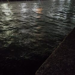 極寒強風アナゴ釣り