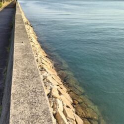 冬のタコ釣り  絶好調！