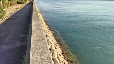 冬のタコ釣り  絶好調！