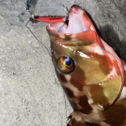 ロックショア納め